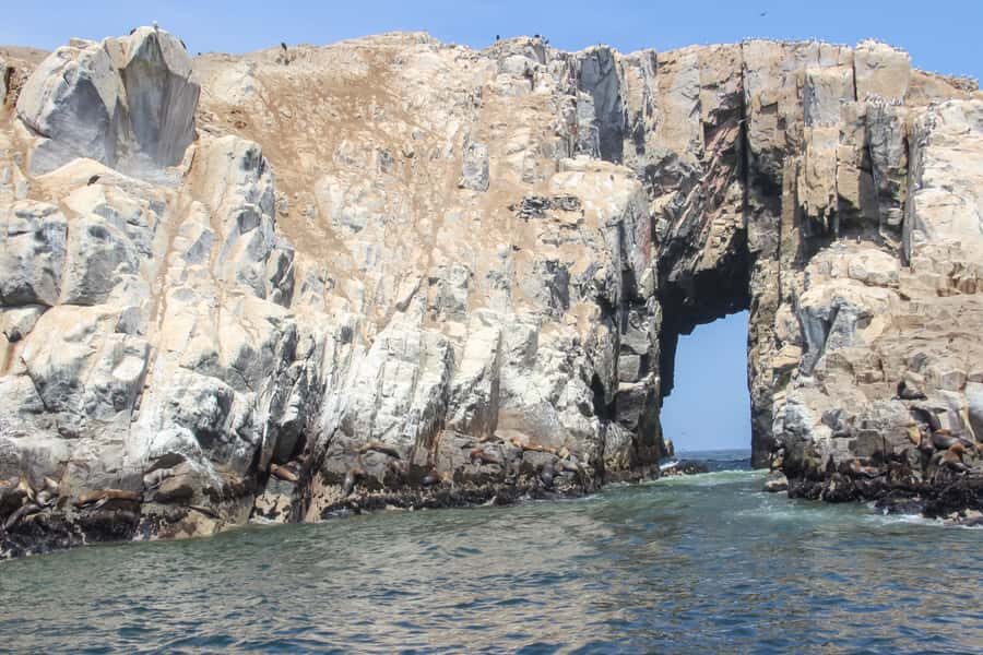 Lima: Palomino Islands Speedboat Tour & Swim with Sea Lions - From central Lima to Callao Harbor: the half-day pace that works