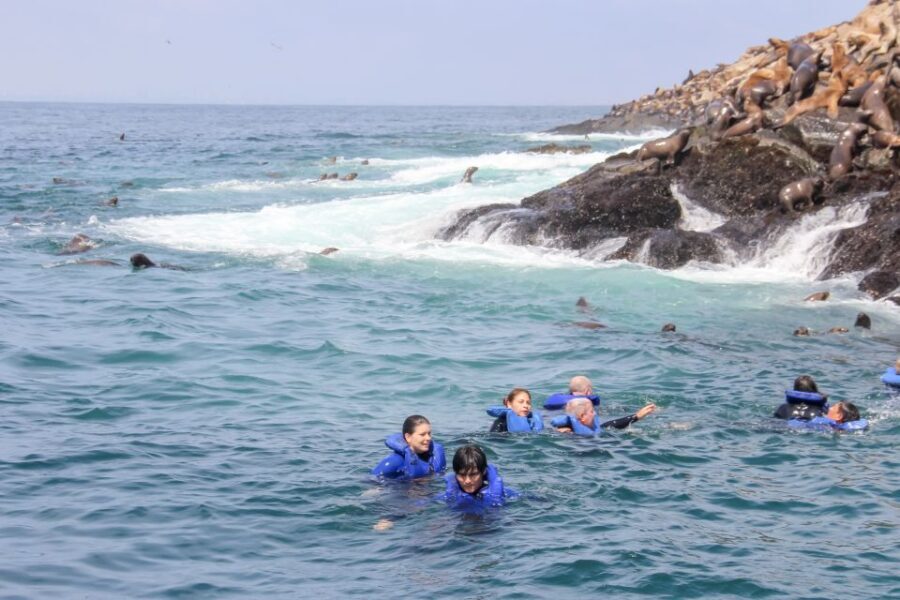 Lima: Palomino Islands Speedboat Tour & Swim with Sea Lions - Swimming with sea lions: what you’re really signing up for