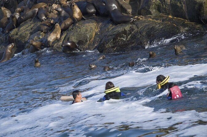Lima Peru Sea Lions, History and Palomino Callao Islands - Who this tour fits best (and who should think twice)