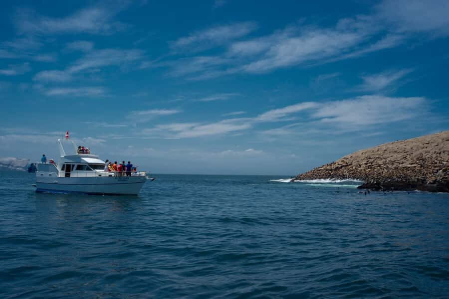 Lima: Sea Lion Swim and Wildlife Palomino Islands Cruise - Key highlights to look for