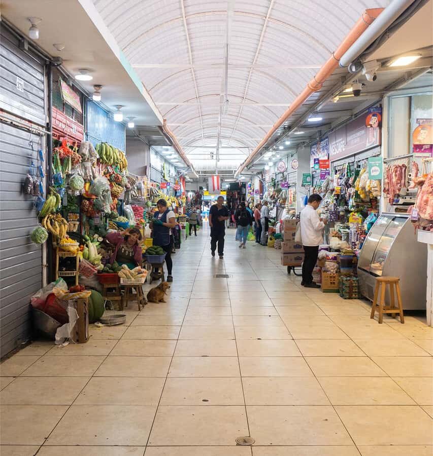 Lima: Street Food Tasting Tour with Pisco Sour Class - Who should book this tour
