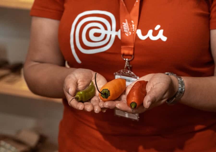 Lima: Ultimate Peruvian Food Tour - Meeting at Mirador Saénz Peña and getting oriented fast