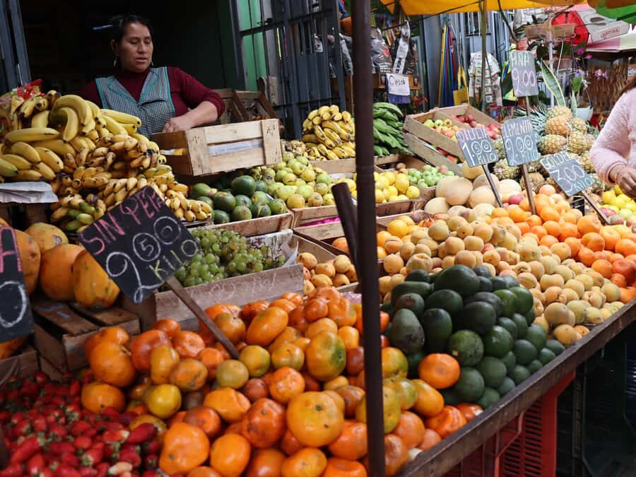 Lima: Villa El Salvador Shanty Town Tour - Key things I’d lock in before you go