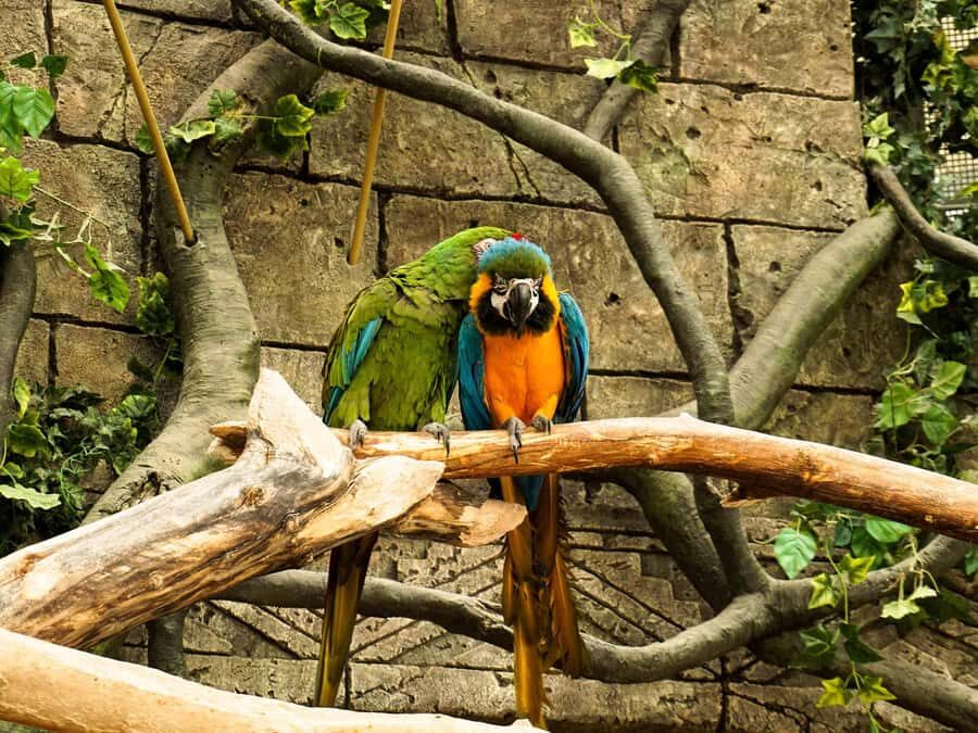 Living Nature from Cusco: 3 Days Manu Jungle all inclusive - Transport, timing, and the reality of long days