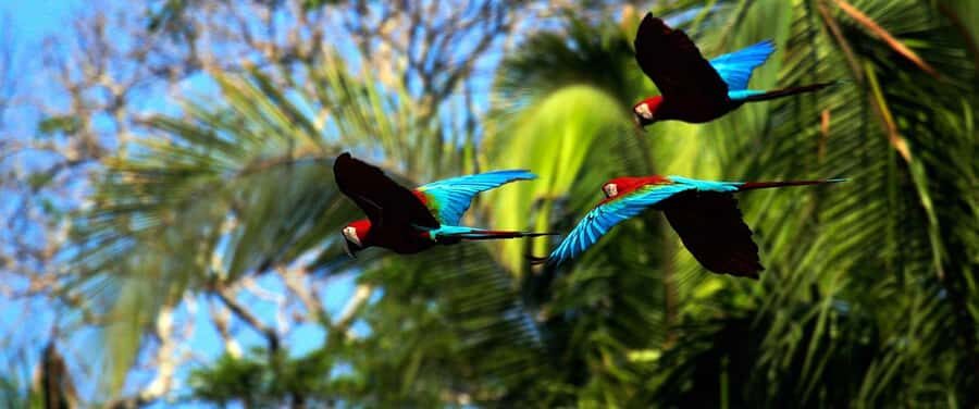 Living Nature from Cusco: 3 Days Manu Jungle all inclusive - Comfort and packing: what to bring for cloud forest to Amazon
