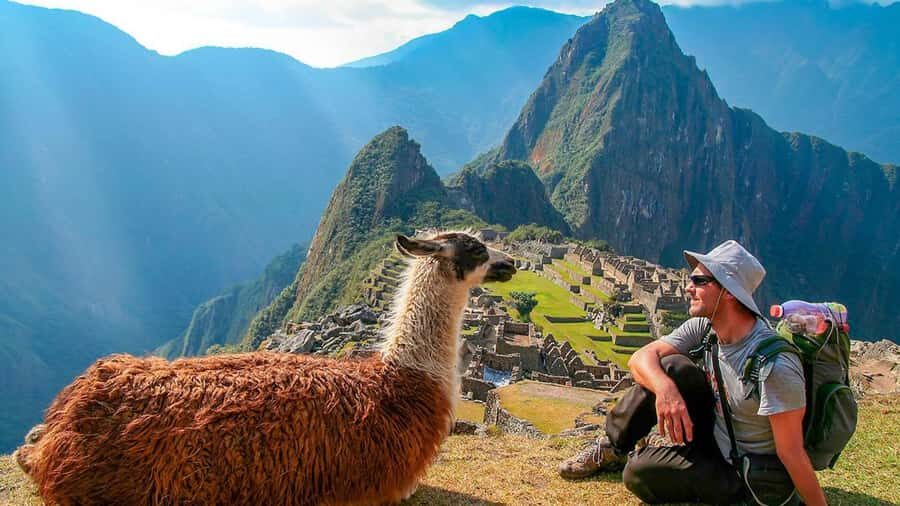 Machu Picchu: 1-day tour by Vistadome Observatory train - The small things that make or break your day