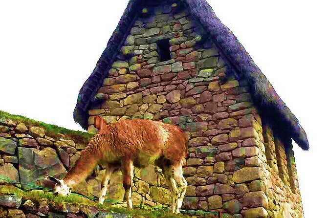 Machu Picchu 1 Day Tour from Cusco by Train - Circuit 2 Guided Visit: What You’ll Actually See (and Why Guidance Matters)