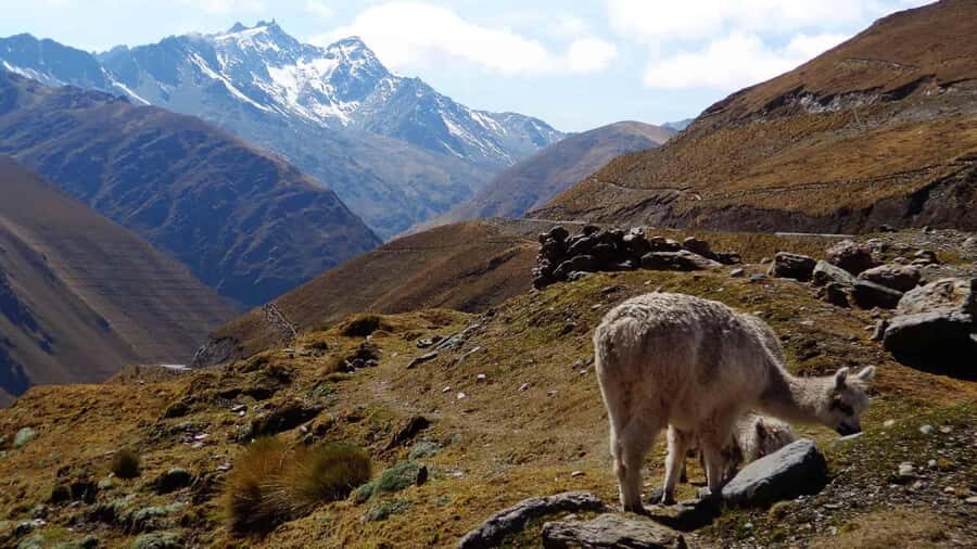 Machu Picchu 2 Days / 1 Night (By Bus) - Key highlights you’ll care about