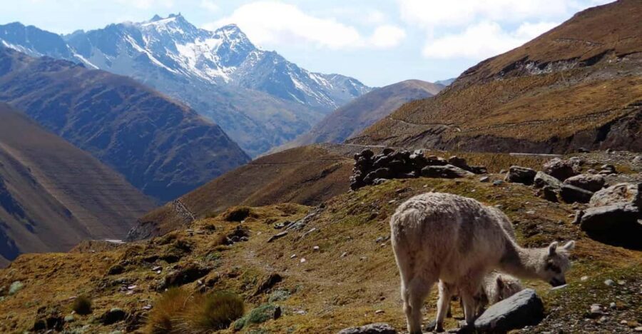 Machu Picchu 2 Days / 1 Night (By Bus) - Price and value: is $170 worth it for a 2-day bus route?