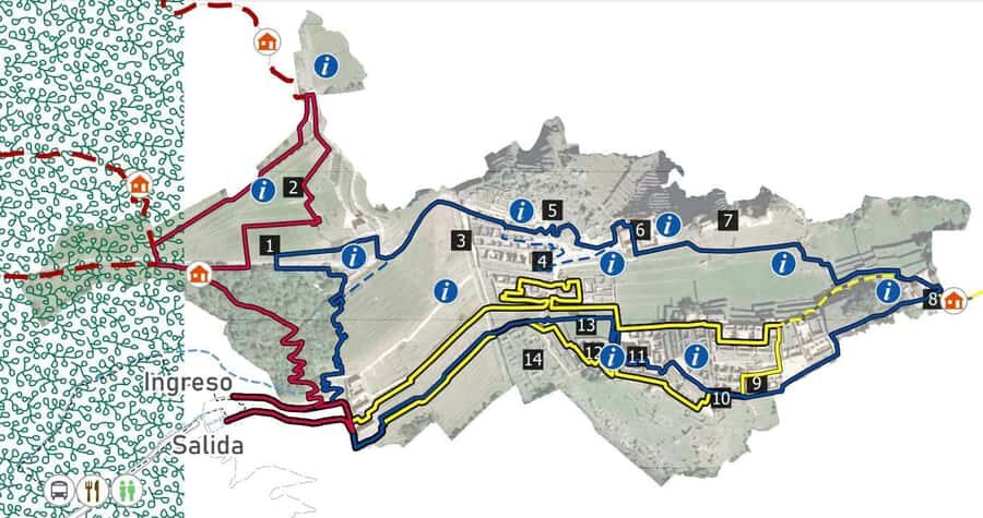 Machu Picchu Entry Ticket and Bus from Aguas Calientes - Inside the Historic Sanctuary: making the most of 2 to 2.5 hours