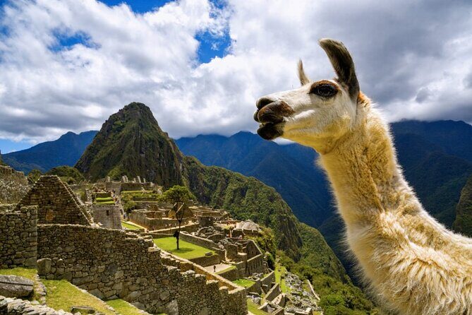 Machu Picchu Full Day with lunch by Aludi Travel - Cusco Pickup to Machu Picchu Entry: The Rhythm of the Day