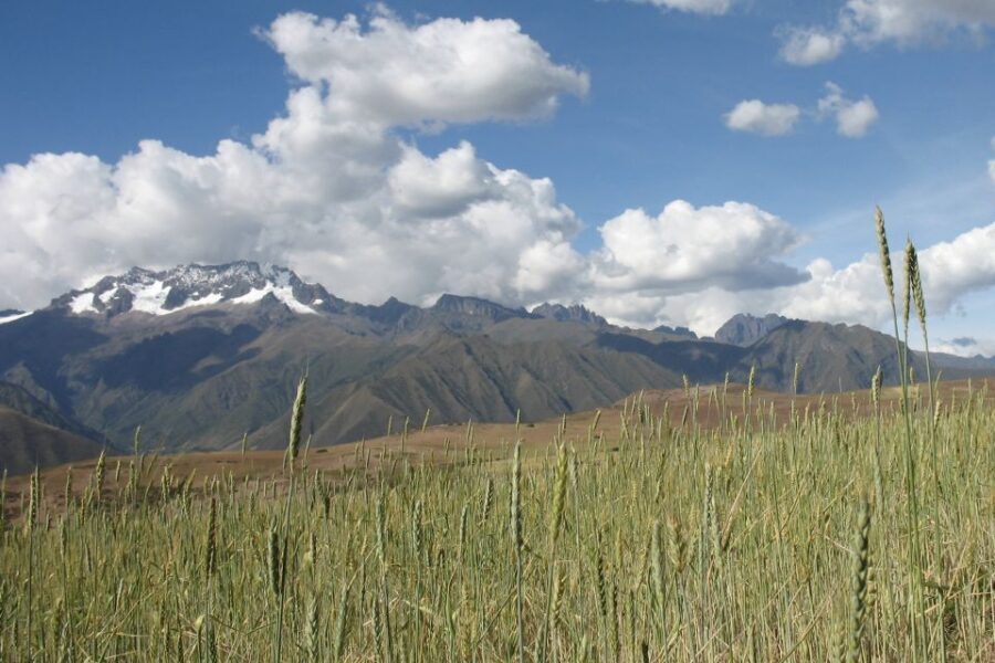Machu Picchu: Private Full-Day Tour with Afternoon Entrance - Private guided route inside Machu Picchu’s Lost Citadel