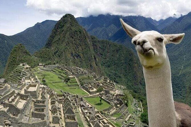 Machu Picchu Small Group Day Tour from Cusco - The return trip: Aguas Calientes back down to the valley