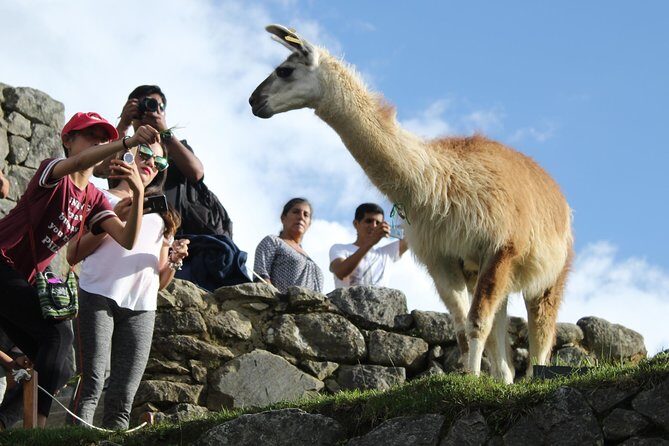 Machu Picchu Tour From Cusco Full Day - Potential Friction Points to Know Before You Go