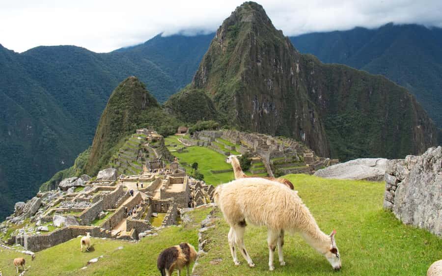 Machupicchu tour by tourist train in 2 days - Who This Tour Suits Best
