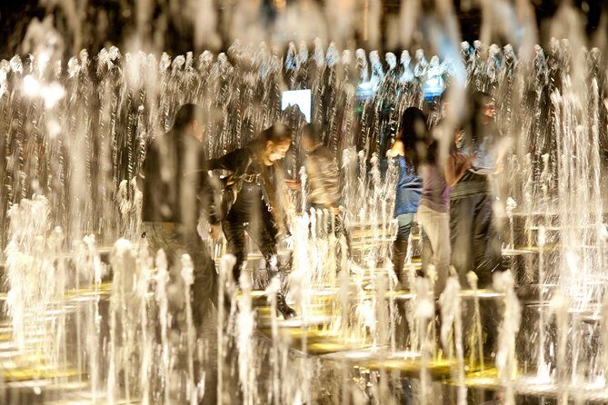 Magic Water Circuit with Dinner - Dinner in the Centro Histórico: A 100-Year-Old House-Museum Style Stop