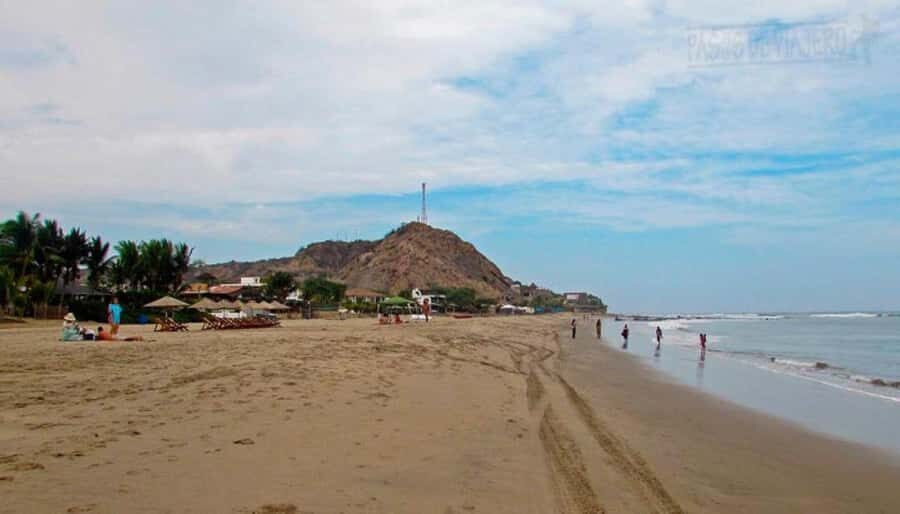 Mancora: Beaches and Tumbes Mangroves Day Trip - Puerto Pizarro and lunch: plan for a gap you pay for