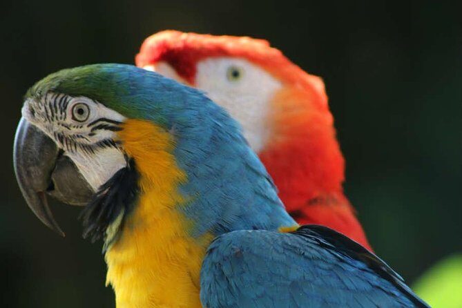 Manu Adventure (4 Days) - Price and value: $1,000 for 4 days, including guides, transport, and entry