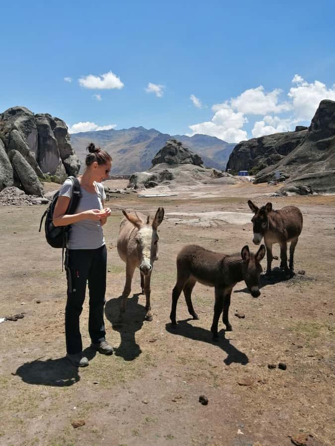 Marcahuasi Experience in Lima - The Walk: Rock Formations, Shapes You Can Actually See
