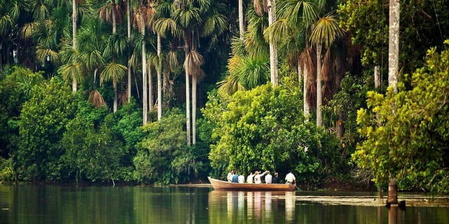 Monkey Island + Lake Sandoval 2D/1N - Key Points You’ll Remember From Monkey Island + Lake Sandoval