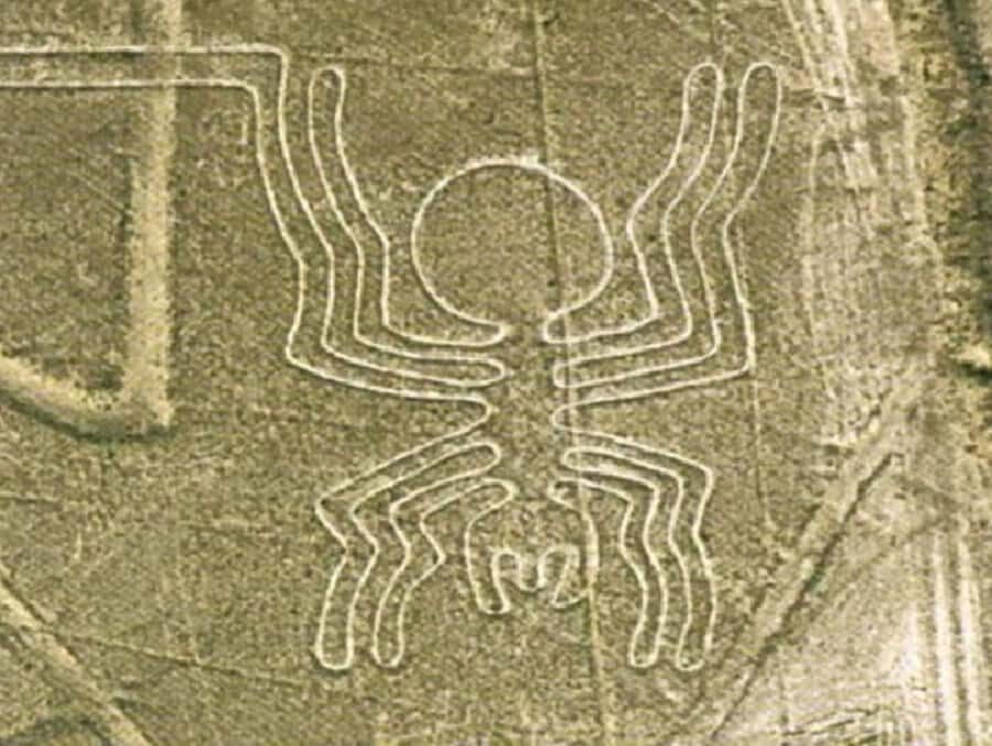 Nazca: Maria Reiche Museum and Nazca Lines Viewpoint Tour - Price and value: is $52 a smart use of 3 hours?