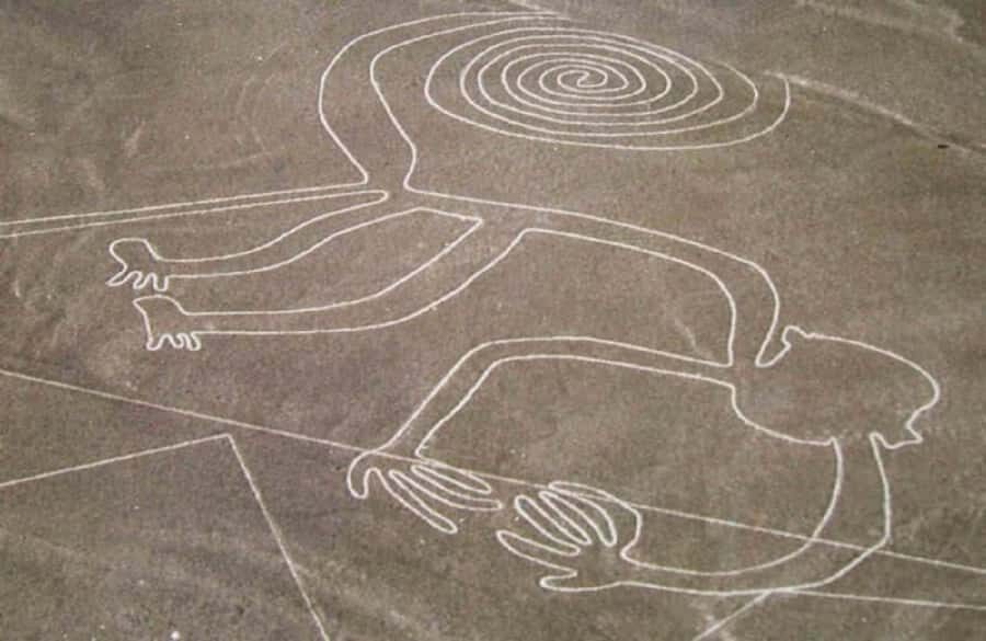 Nazca: Overflight of the Nazca Lines - Group size, seats, and guide language: how it shapes your experience