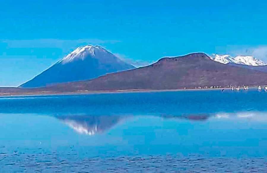 Offer Price Tour Salinas Lagoon and National Reserve 8 hours - Salt flats of the Salinas Reserve: saltpeter production and the white expanse