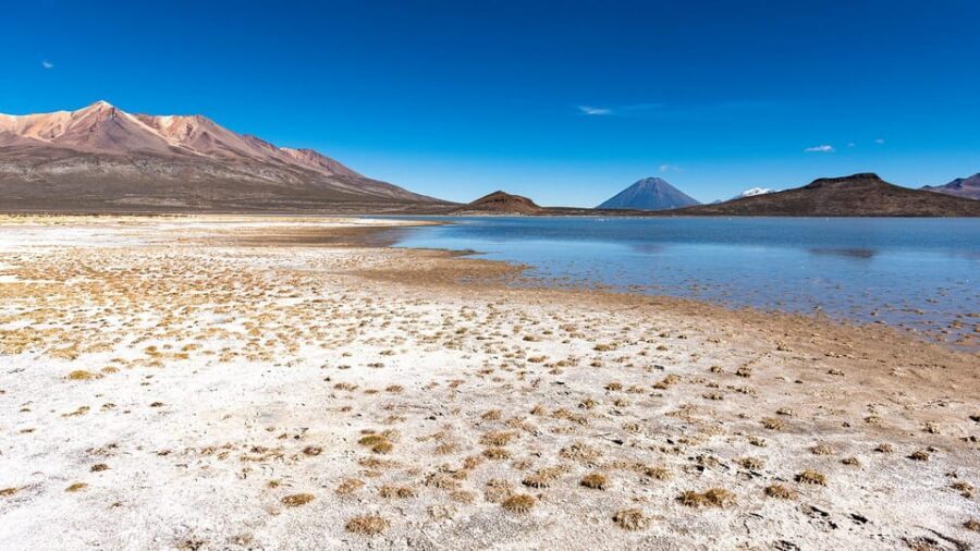 Offer Price Tour Salinas Lagoon and National Reserve 8 hours - High Andean camelids and bird reserve: what to look for