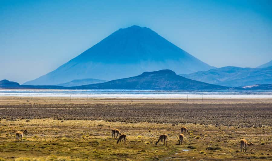 Offer Price Tour Salinas Lagoon and National Reserve 8 hours - Optional mini thermal wells: when a soak fits the schedule
