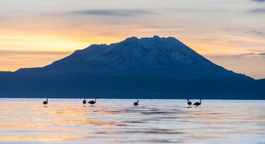 Offer Price Tour Salinas Lagoon and National Reserve 8 hours - Price and value at $20: what’s included, what costs extra