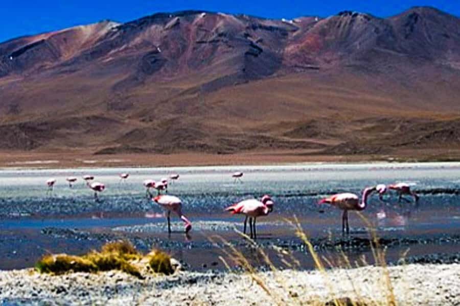Offer Price Tour Salinas Lagoon and National Reserve 8 hours - What to bring (and how to stay comfortable)