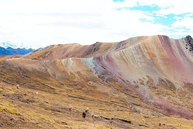 Palccoyo Rainbow Mountain Full Day Tour from Cusco - Stop 3: Nevado Auzangate viewpoint near Cusco’s highest peak