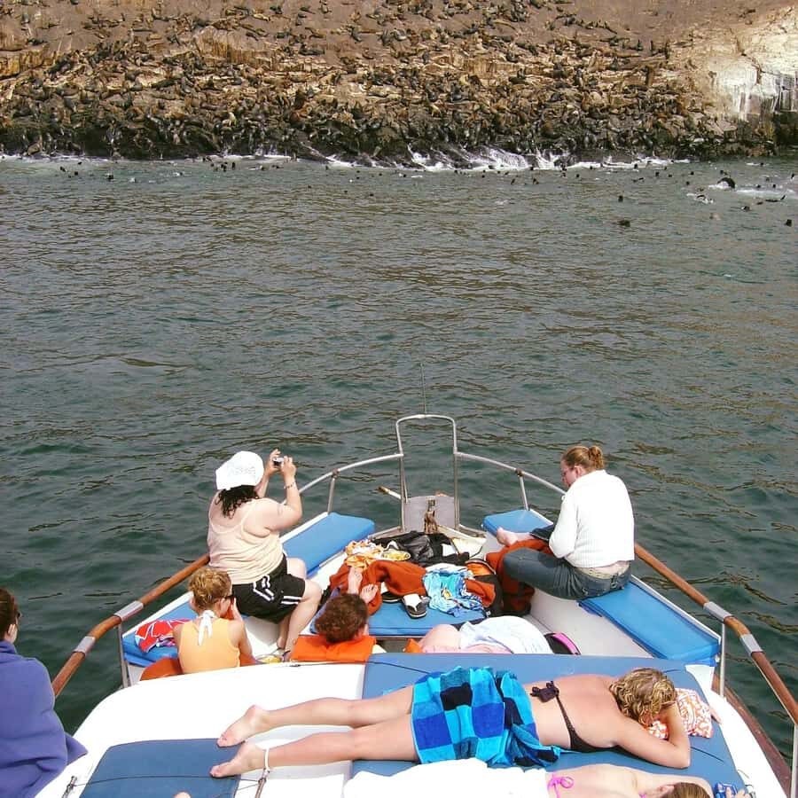 Palomino Islands Yacht Tour and swim alongside the sea lions - From your hotel to Plaza Grau: how the morning starts