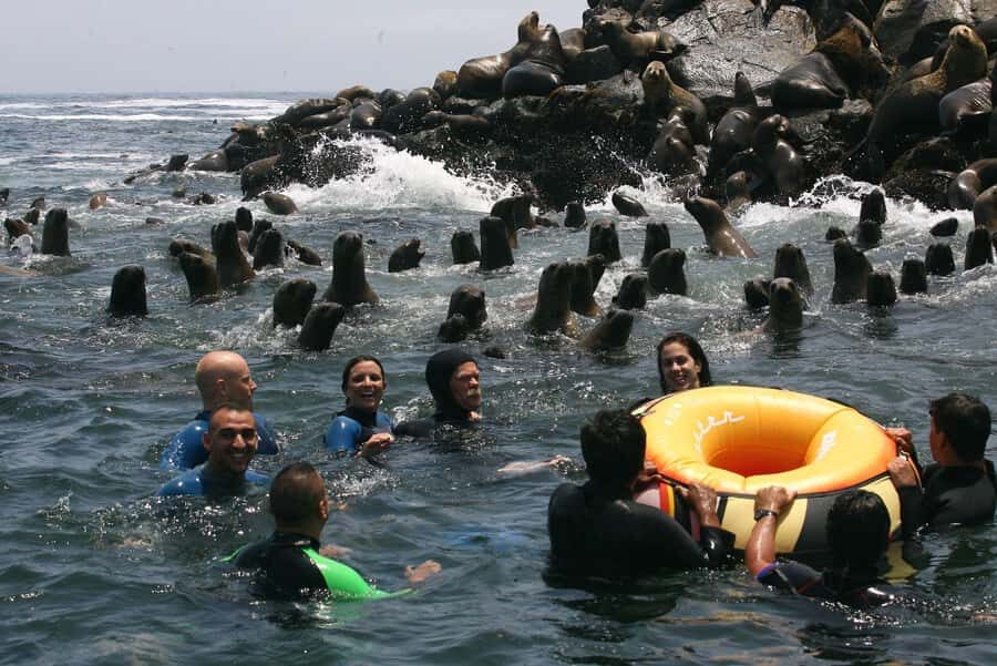 Palomino Islands Yacht Tour and swim alongside the sea lions - The yacht ride: comfort, timing, and real sea air