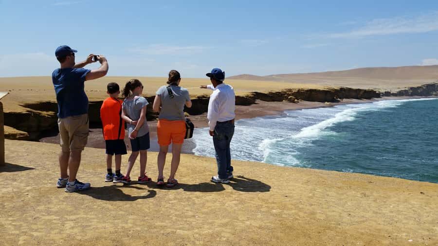 Paracas: Ballestas Island & Nature Reserve all inclusive - Key things you’ll notice right away
