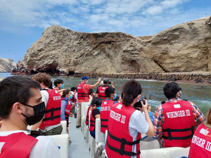 Paracas: Ballestas Island & Nature Reserve all inclusive - Ballestas Islands by speedboat: wildlife watching that stays focused