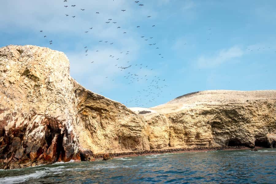 Paracas: Ballestas Island & Nature Reserve all inclusive - Paracas break time: small buffer for photos and basics