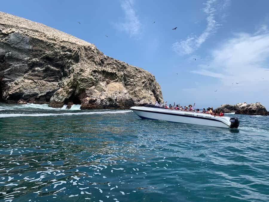 Paracas: Ballestas Island & Nature Reserve all inclusive - The Paracas National Reserve intro center: where viewpoints make sense