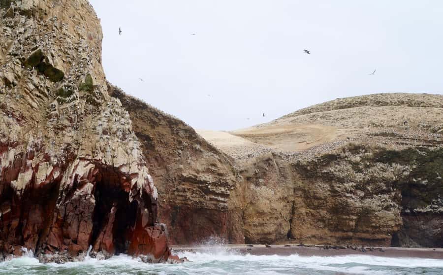 Paracas: Ballestas Islands and Candelabra of Paracas Boat - Paracas Port to the Boat: how the start really works