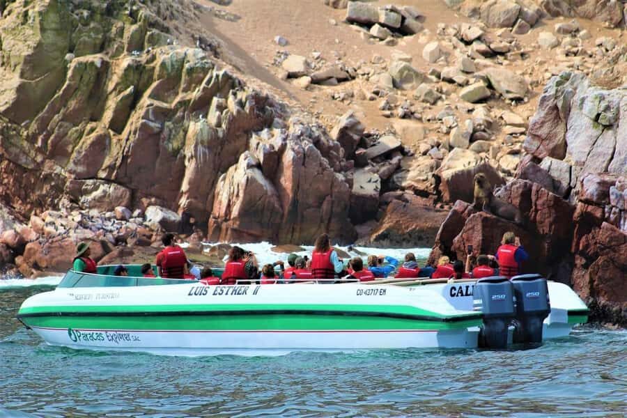 Paracas: Ballestas Islands and Candelabra of Paracas Boat - The Candelabra of Paracas: a cliffside geoglyph at sea level