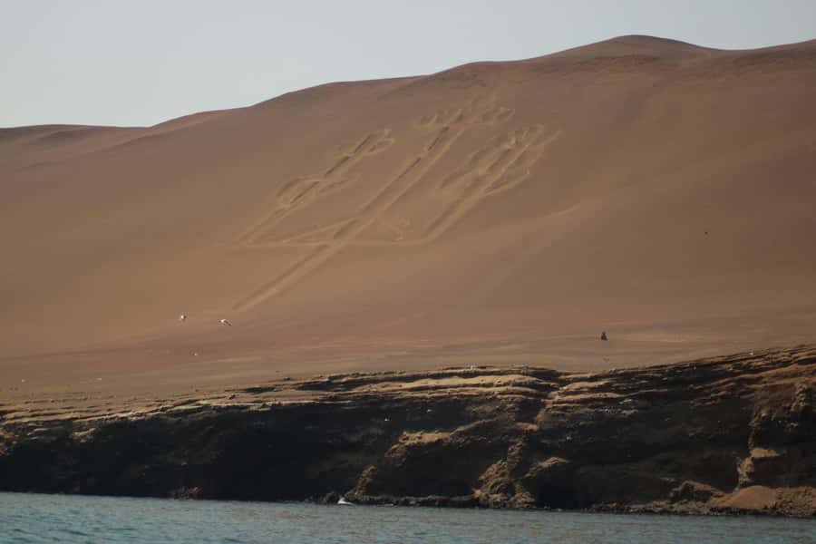 PARACAS: BALLESTAS ISLANDS AND NATIONAL RESERVE - Wildlife Highlights: Penguins, Sea Lions, Dolphins, and Seabird Chaos