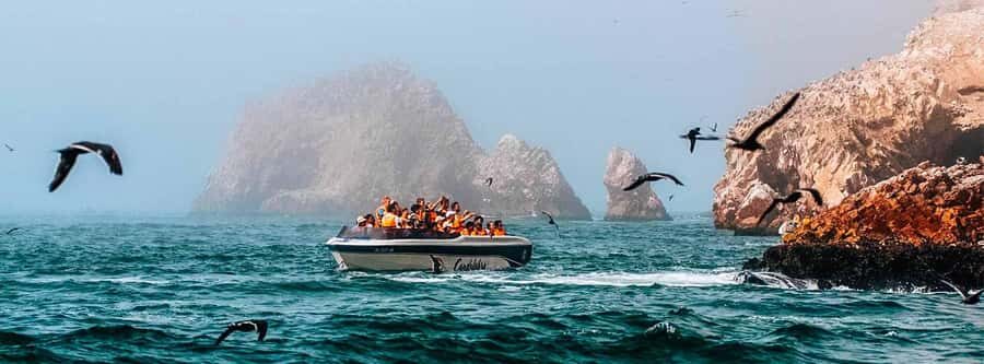 Paracas: Ballestas Islands and Paracas Reserve Tour - Key Things You’ll Like Most
