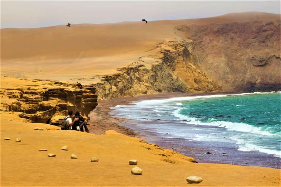 Paracas: Ballestas Islands and Paracas Reserve Tour - Price and Logistics: Is This Tour Worth $37?