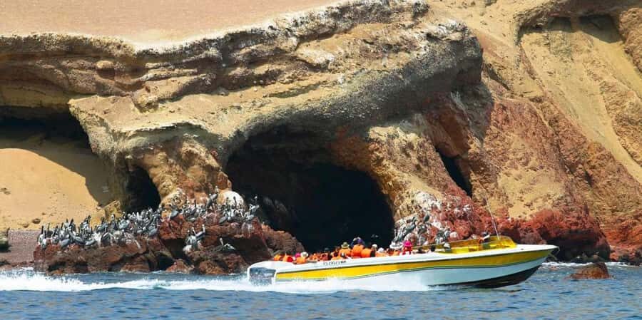 Paracas: Ballestas Islands Boat tour - Islas Ballestas - Ballestas Islands: a fast route to Peru’s ocean wildlife
