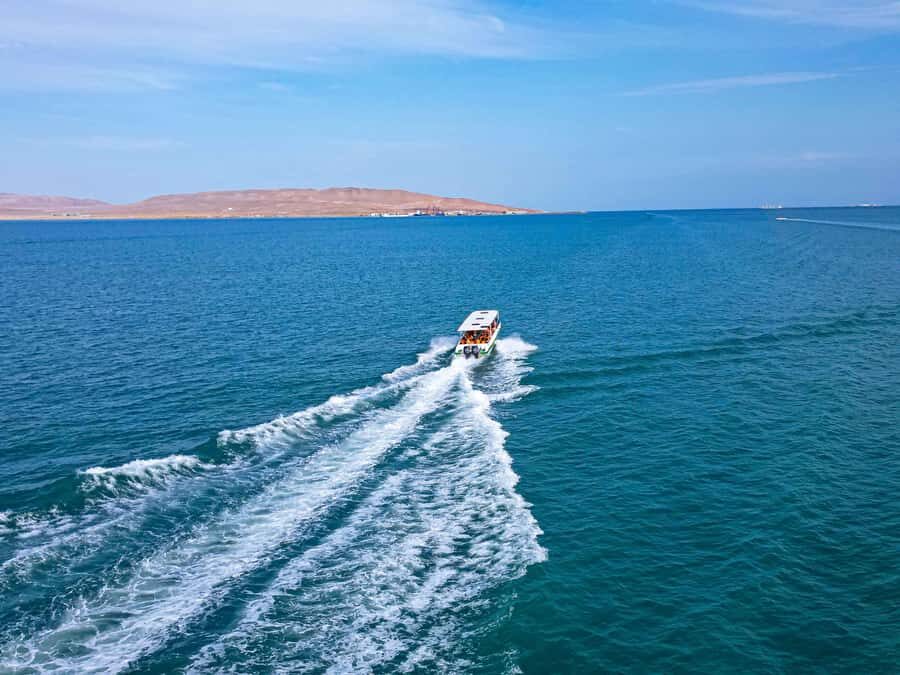Paracas: Ballestas Islands Guided Boat Tour - Languages and guide support: small detail, big payoff