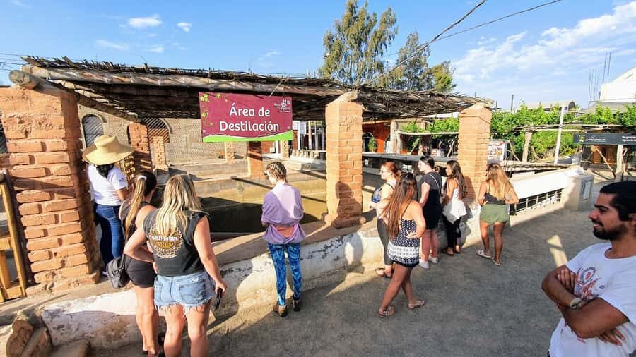 Paracas or Pisco: Private Huacachina Oasis Tour & Buggy Ride - Key Highlights That Matter