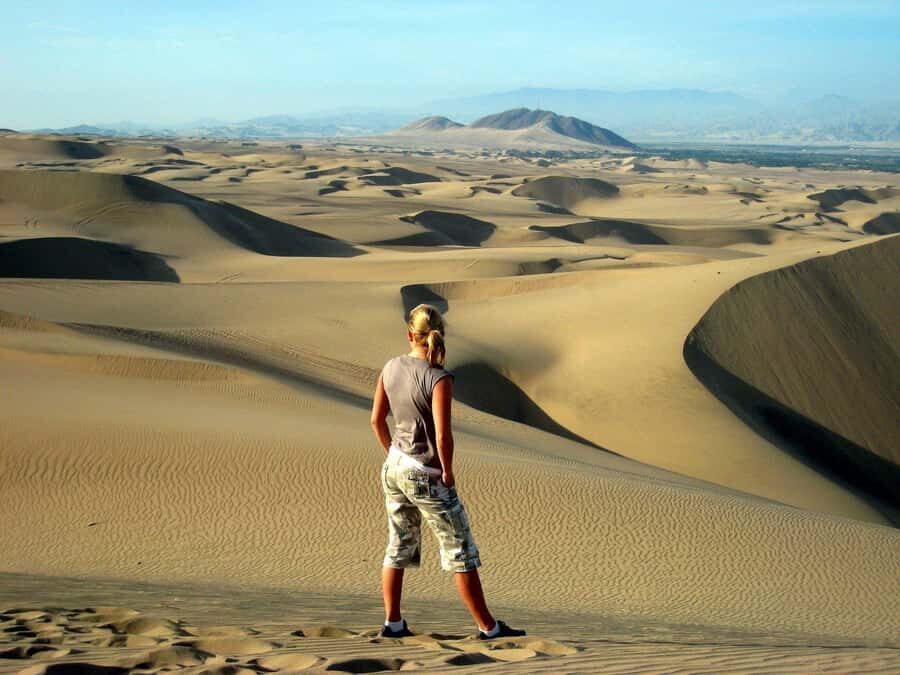 Paracas or Pisco: Private Huacachina Oasis Tour & Buggy Ride - The Vineyard Stop: Pisco and Wine Sampling That Adds Context