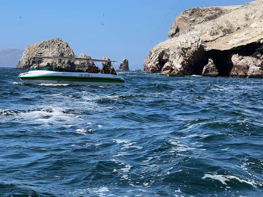 Paracas: speedboat BALLESTAS ISLANDS TOUR - Key takeaways before you go