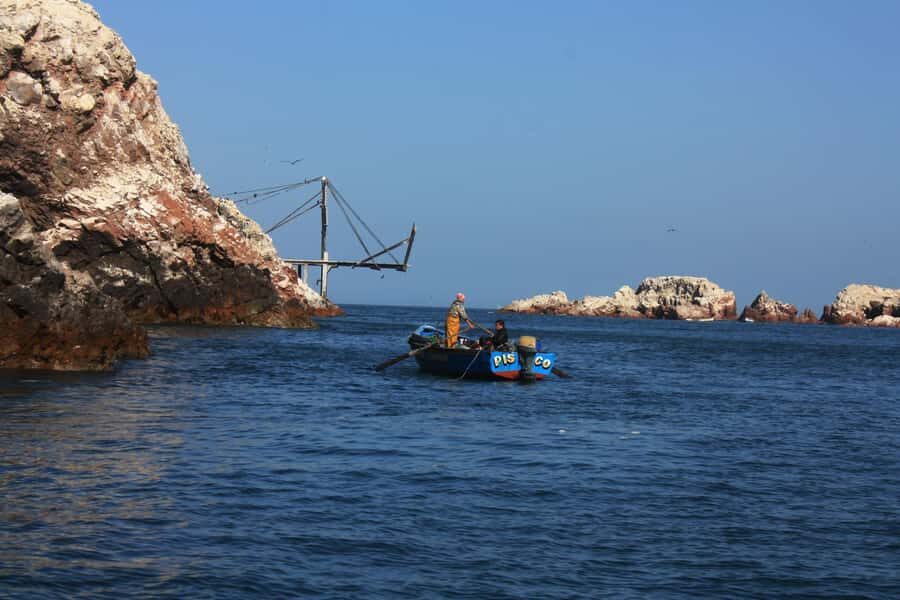 Paracas: speedboat BALLESTAS ISLANDS TOUR - Ballestas Islands stop: guided viewing and wildlife opportunities