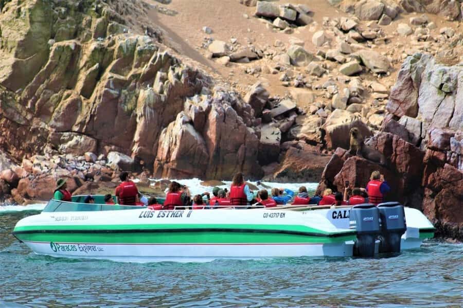 Paracas: speedboat BALLESTAS ISLANDS TOUR - Plaza El Chaco meeting point: the place and timing that actually matter